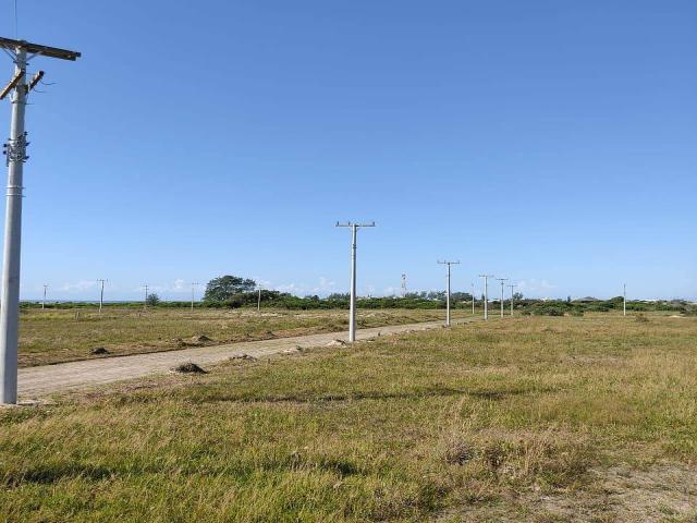 Área para Venda em Terra de Areia - 4