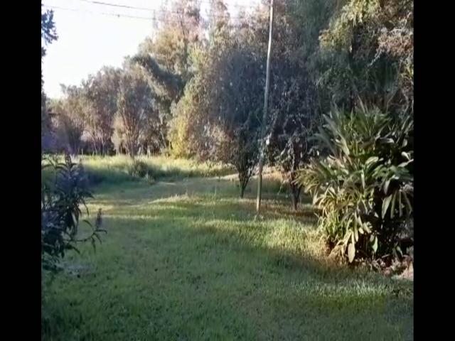 #156 - Chácara para Venda em Sentinela do Sul - RS - 3
