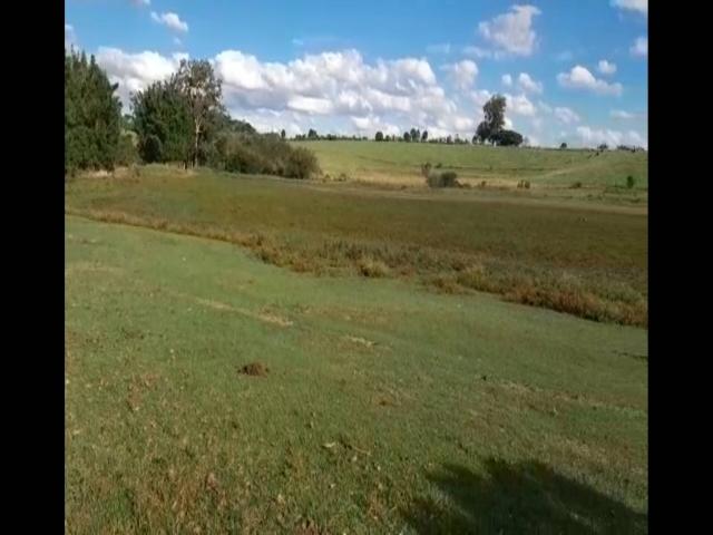 Chácara para Venda em Sentinela do Sul - 4