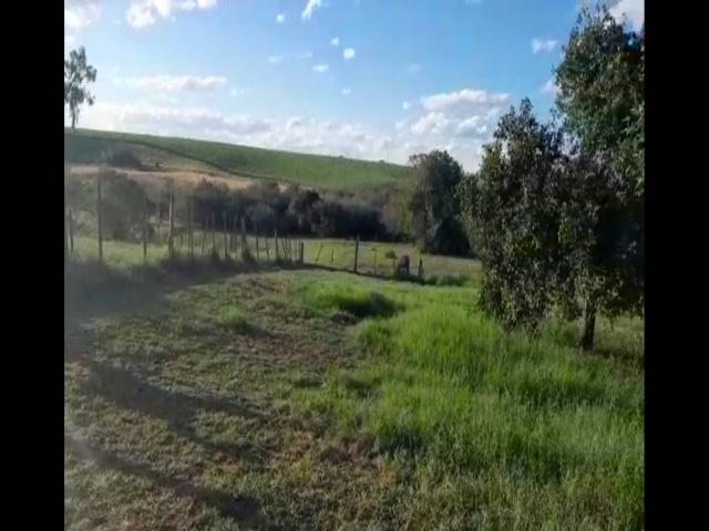 Chácara para Venda em Sentinela do Sul - 5